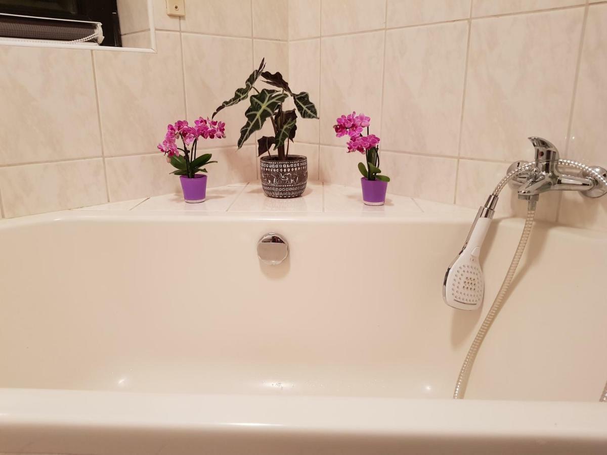Ferienwohnung Tinas Beauty เนคคาร์ชไตนัค ภายนอก รูปภาพ